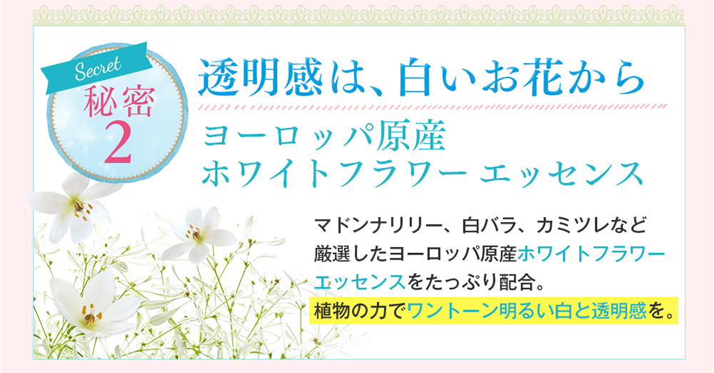 秘密2 透明感は、白いお花から ヨーロッパ原産ホワイトフラワーエッセンス