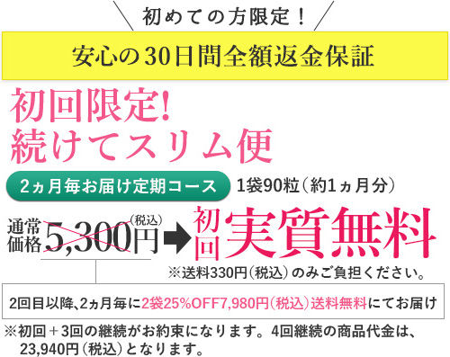 通常価格5,300円
